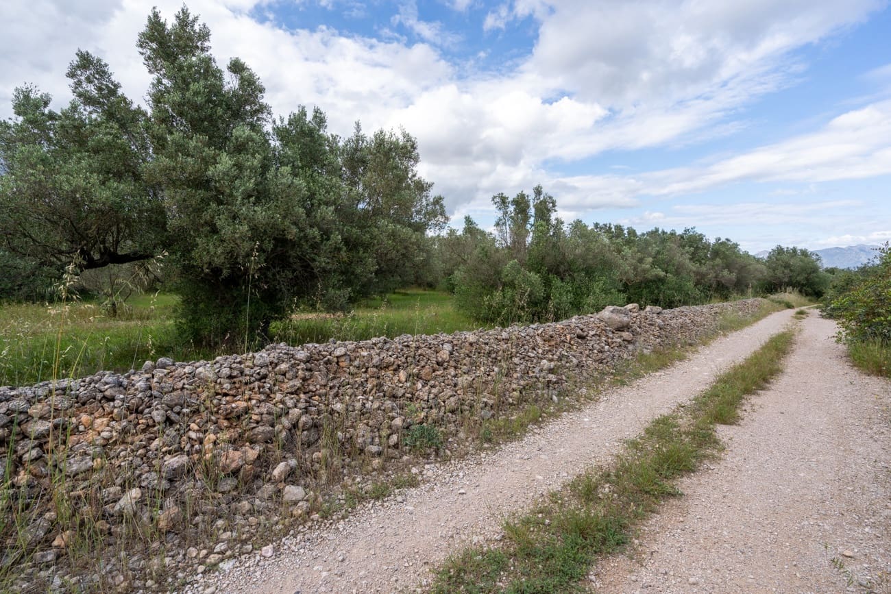 Finca/Country House for sale in Els Reguers - € 40,000 (Ref: 9833993)