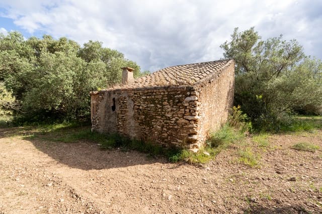Finca/Landehus til salg i Els Reguers, Tortosa - € 40.000 (Ref: 9833993)
