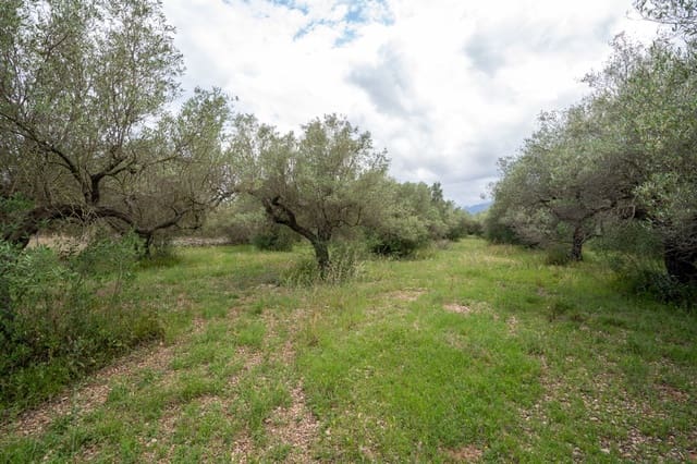 Finca/Casa Rural en Tortosa en venta - 40.000 € (Ref: 9833993)