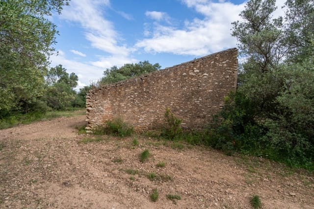 Finca/Casa Rural en Tortosa en venta - 40.000 € (Ref: 9833993)