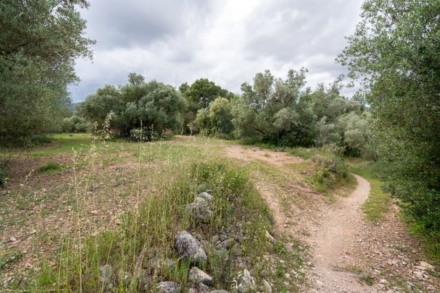 Finca/Casa Rural en Tortosa en venta - 40.000 € (Ref: 9833993)