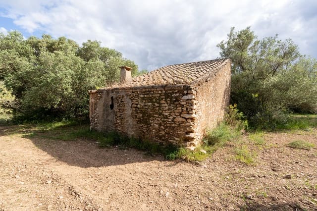 Finca/Casa Rural en Tortosa en venta - 40.000 € (Ref: 9833993)