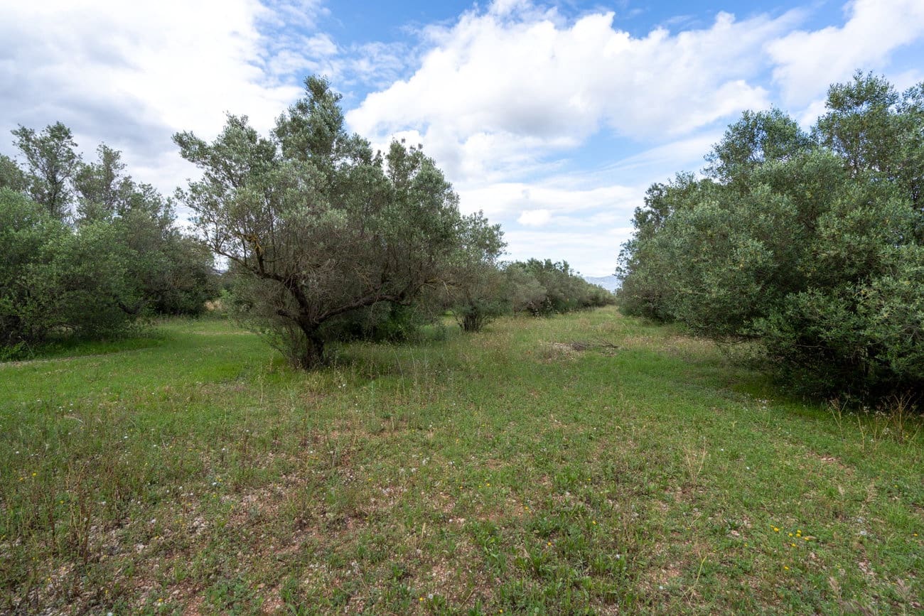 Finca/Landehus til salg i Tortosa - € 40.000 (Ref: 9833993)