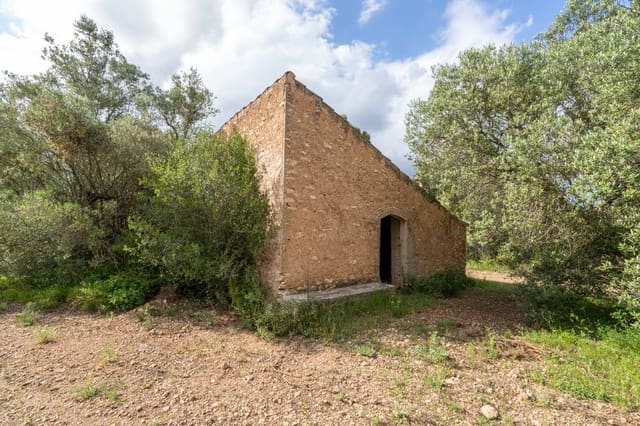 Finca/Casa Rural en Tortosa en venta - 40.000 € (Ref: 9833993)