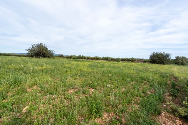 Finca/Landehus til salg i La Sénia - € 16.000 (Ref: 9850594)