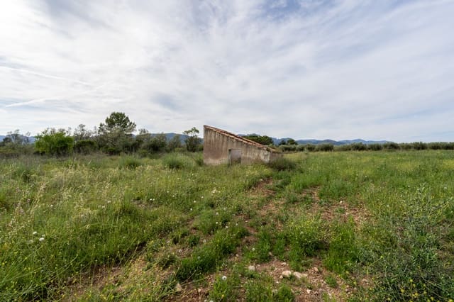 Finca/Landehus til salg i La Sénia - € 16.000 (Ref: 9850594)