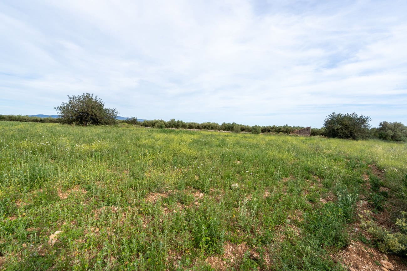 Finca/Country House for sale in La Senia - € 16,000 (Ref: 9850594)