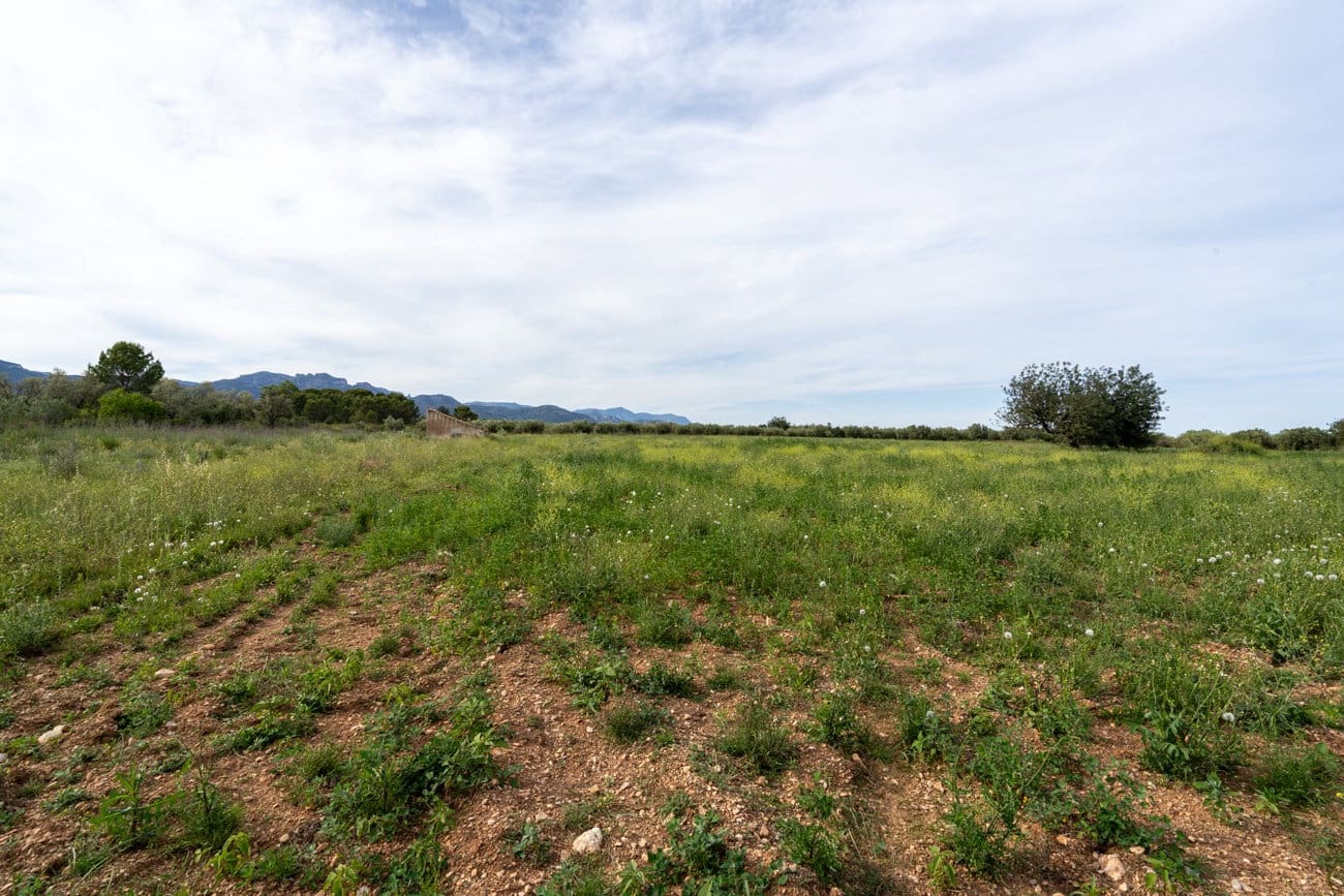 Finca/Country House for sale in La Senia - € 16,000 (Ref: 9850594)