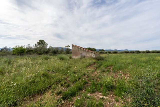 Finca/Casa di Campagna in vendita in La Sénia - 16.000 € (Rif: 9850594)