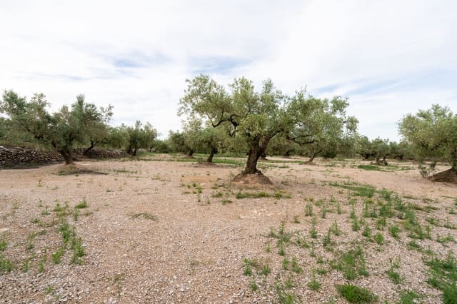 Finca/Landehus til salg i Ulldecona - € 16.500 (Ref: 9850595)