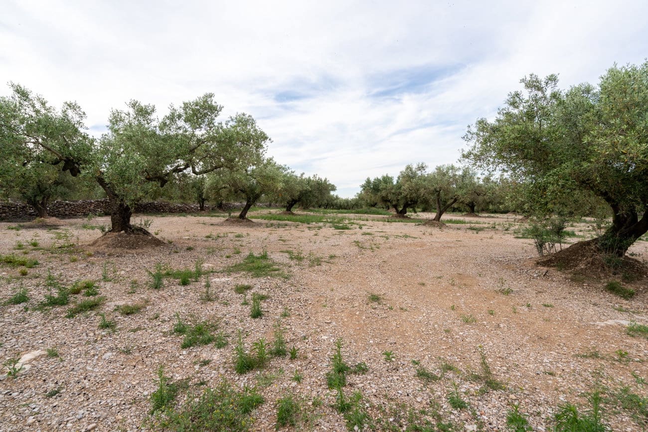 Finca/Country House for sale in Ulldecona - € 16,500 (Ref: 9850595)