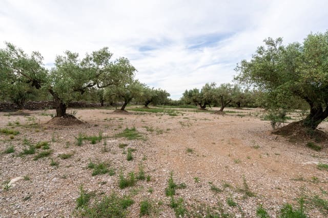 Quinta/Casa Rural para venda em Ulldecona - 16 500 € (Ref: 9850595)