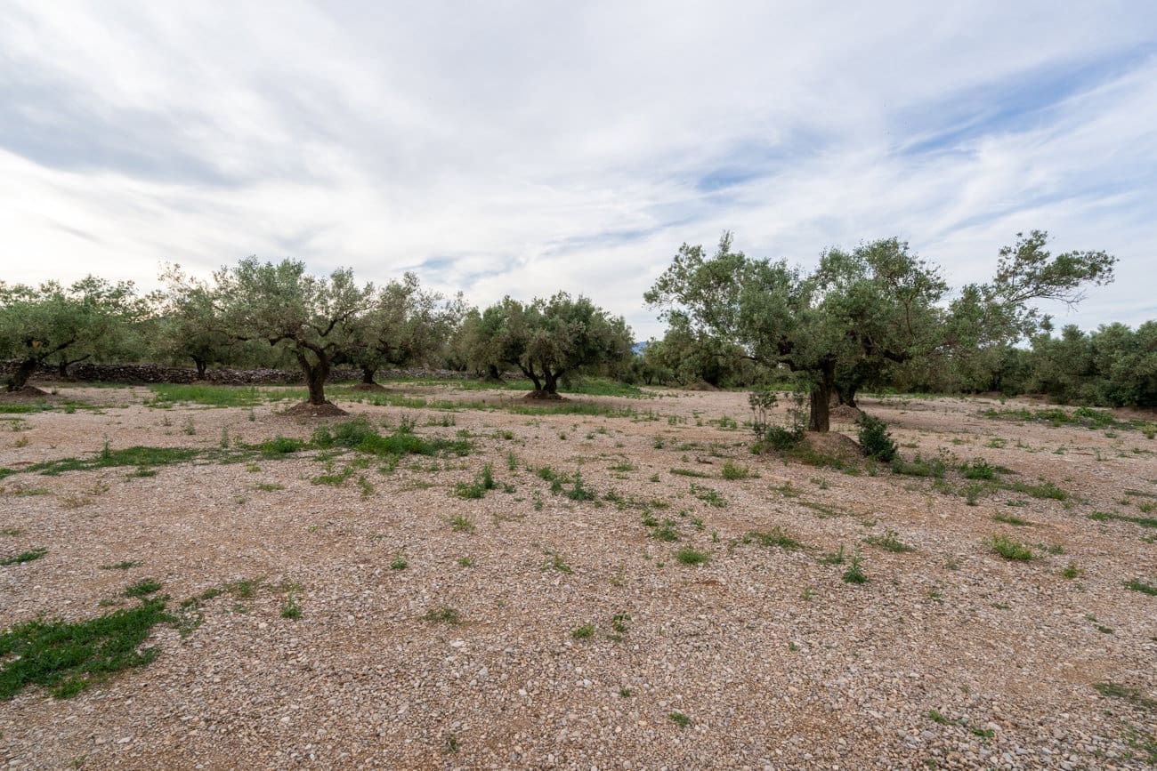 Finca/Country House for sale in Ulldecona - € 16,500 (Ref: 9850595)