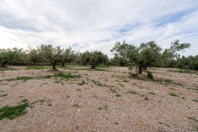 Quinta/Casa Rural para venda em Ulldecona - 16 500 € (Ref: 9850595)