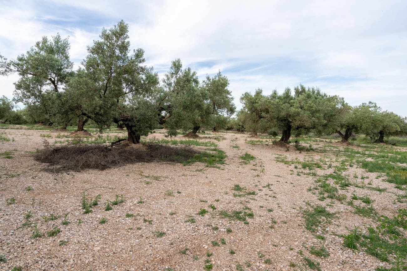 Finca/Country House for sale in Ulldecona - € 16,500 (Ref: 9850595)
