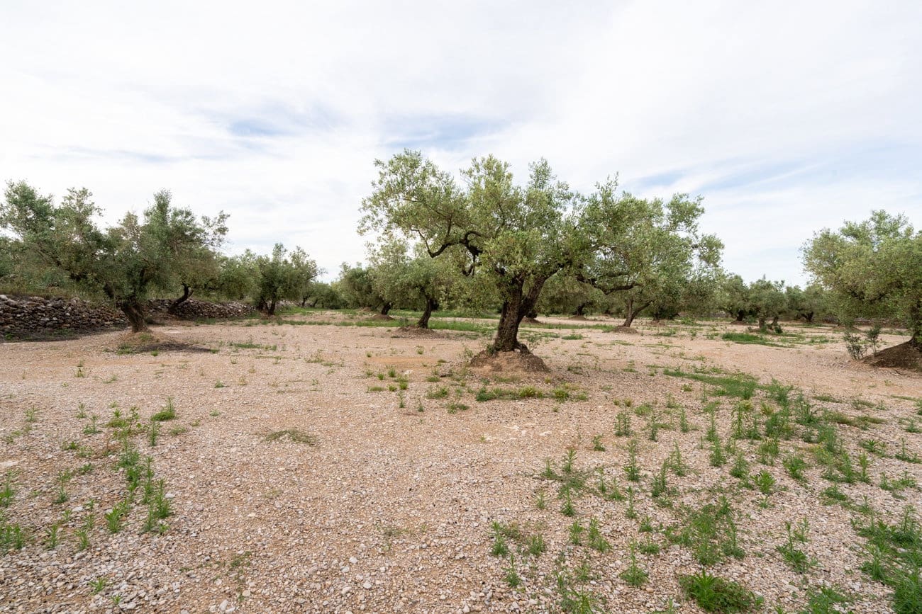 Finca/Country House for sale in Ulldecona - € 16,500 (Ref: 9850595)