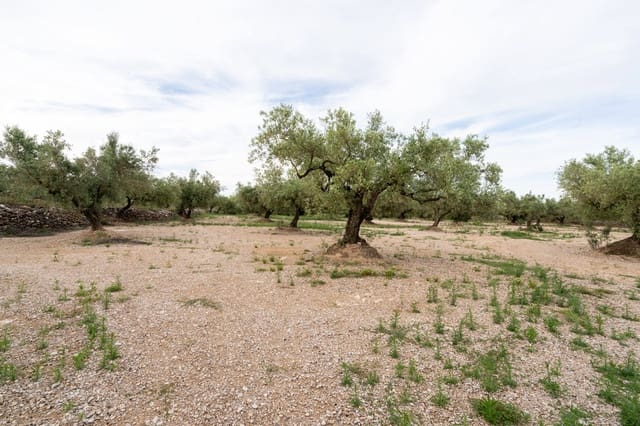 Quinta/Casa Rural para venda em Ulldecona - 16 500 € (Ref: 9850595)