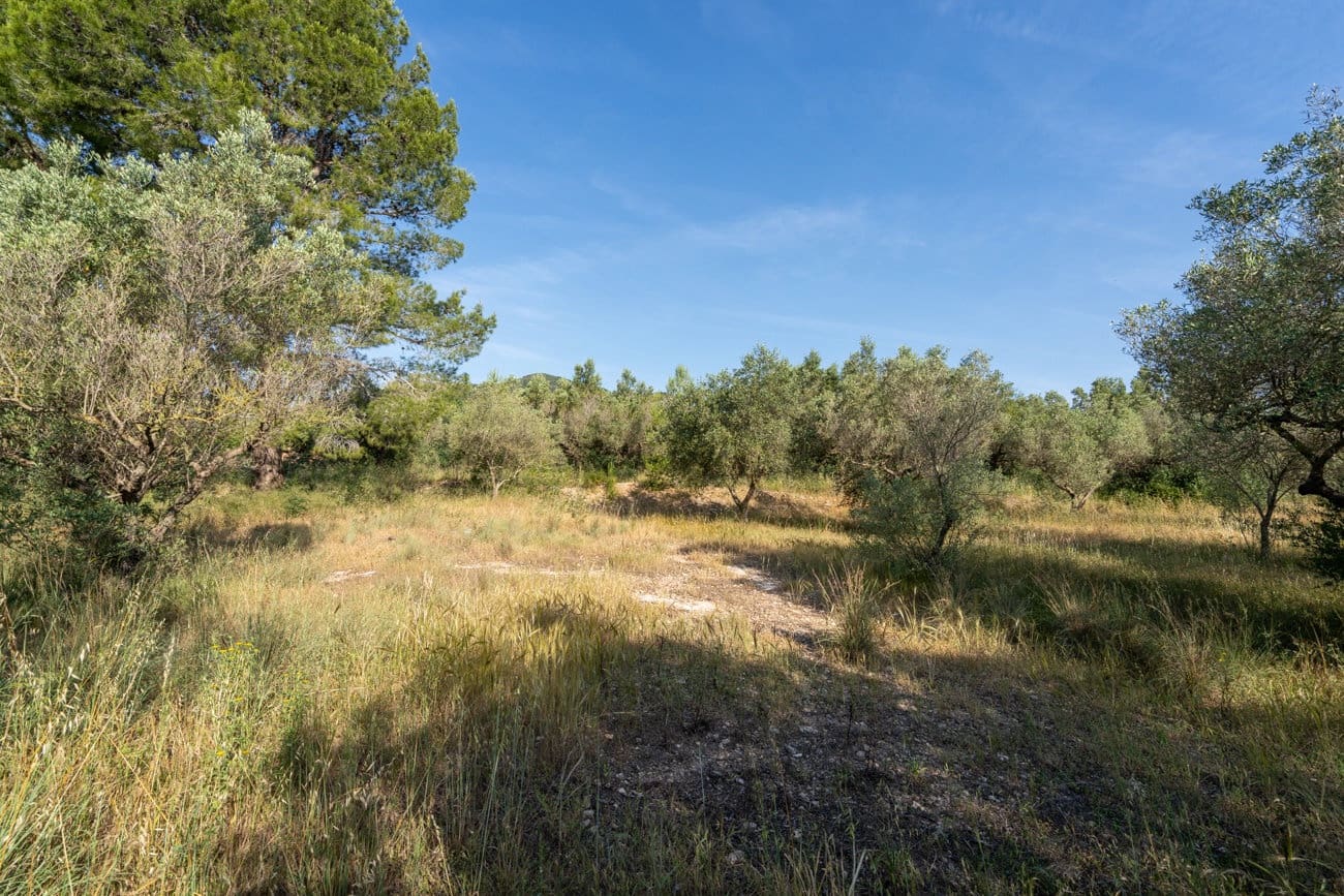 Finca/Landehus til salg i Aldover - € 49.500 (Ref: 9880401)