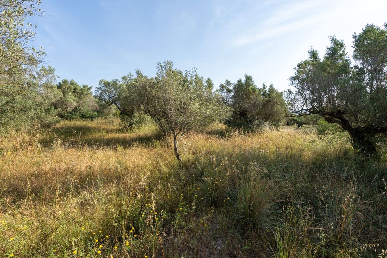 Finca/Landehus til salg i Aldover - € 49.500 (Ref: 9880401)