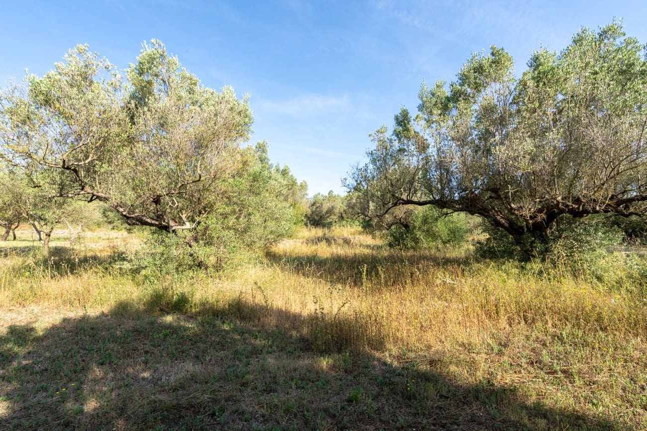 Finca/Landehus til salg i Aldover - € 49.500 (Ref: 9880401)