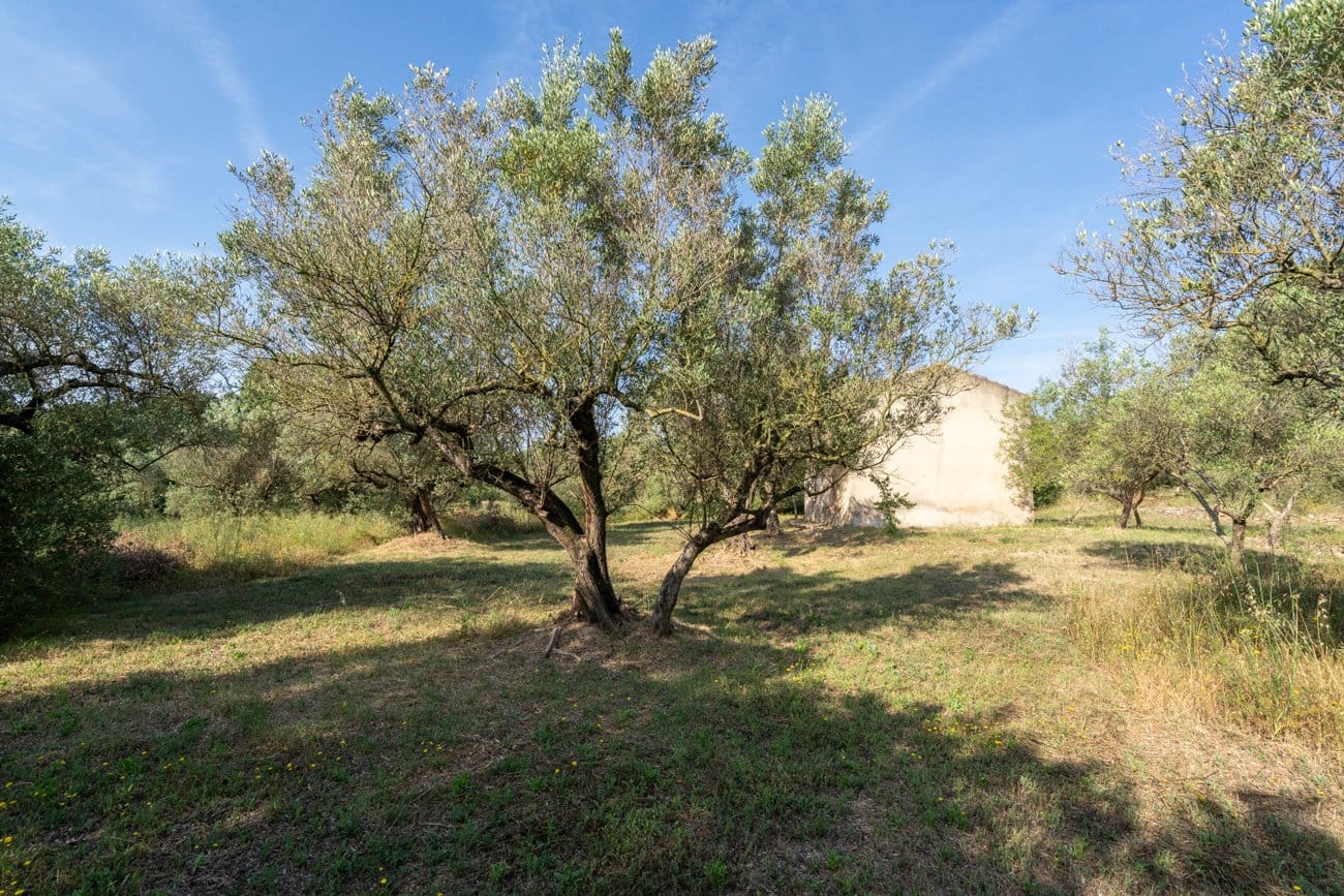 Finca/Landehus til salg i Aldover - € 49.500 (Ref: 9880401)