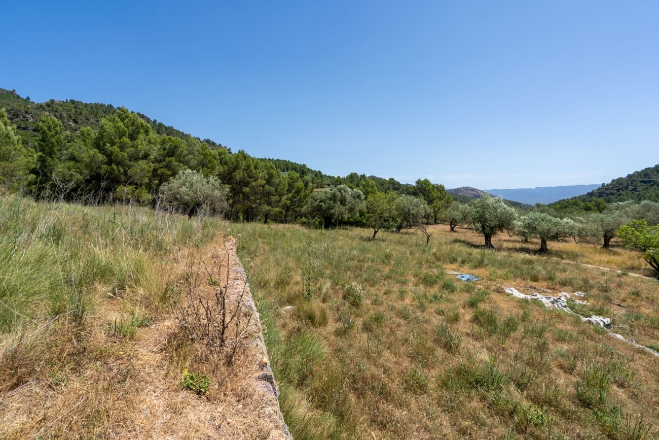 Finca/Country House for sale in Alfara de Carles - € 330,000 (Ref: 9919153)