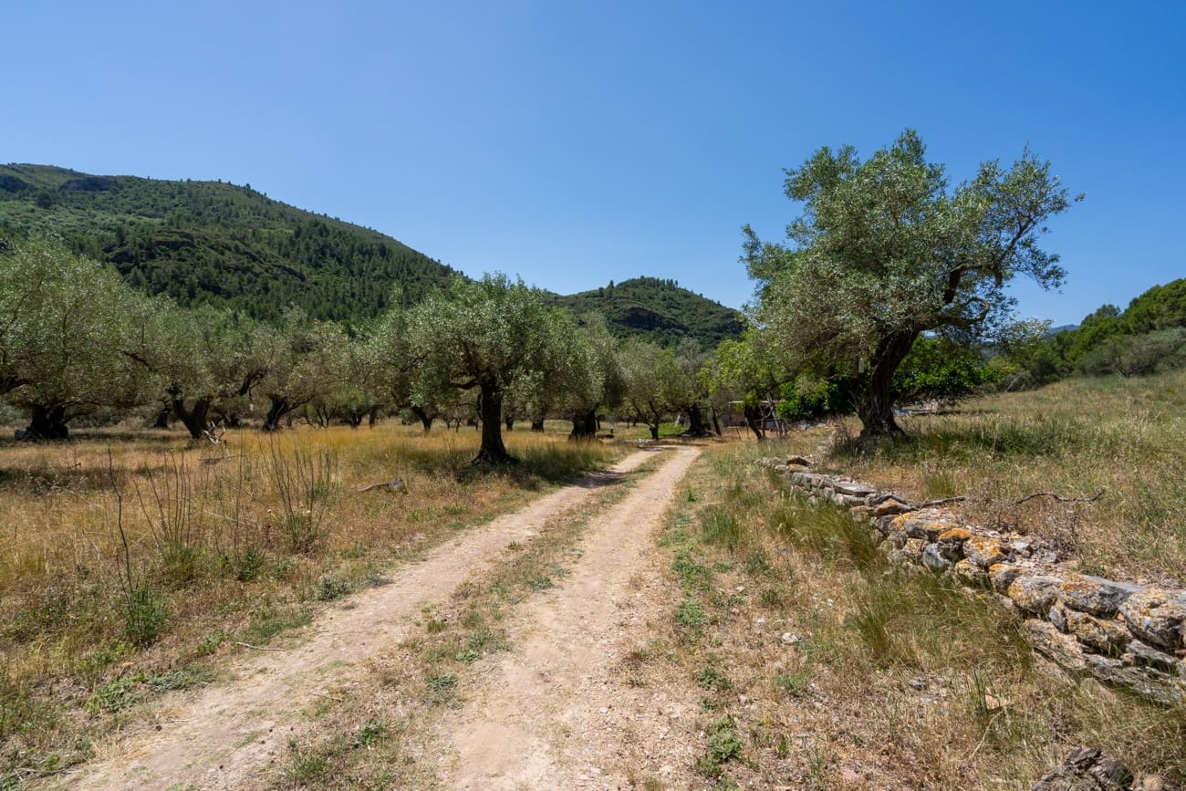 Finca/Country House for sale in Alfara de Carles - € 330,000 (Ref: 9919153)