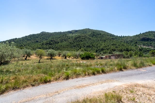 Finca/Landehus til salg i Alfara de Carles - € 330.000 (Ref: 9919153)