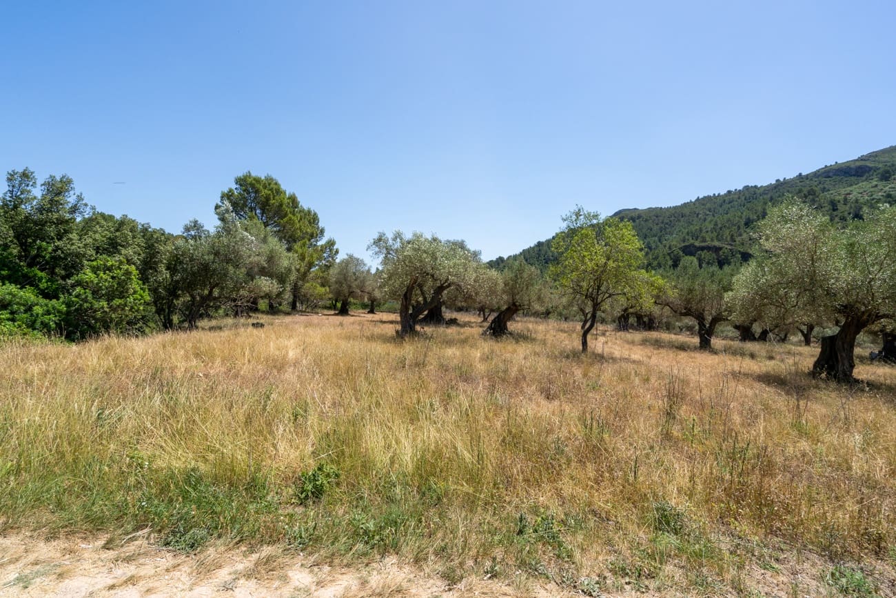 Finca/Country House for sale in Alfara de Carles - € 330,000 (Ref: 9919153)