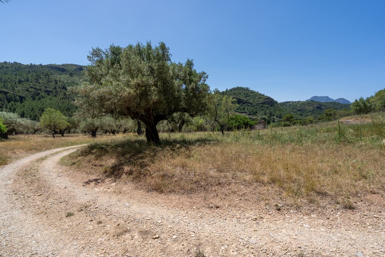 Finca/Country House for sale in Alfara de Carles - € 330,000 (Ref: 9919153)