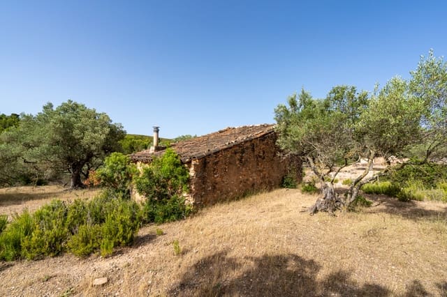 Finca/Landehus til salg i Rasquera - € 24.000 (Ref: 9922733)