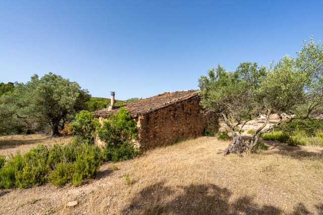 Finca/Herregård til salgs i Rasquera - € 24 000 (Ref: 9922733)