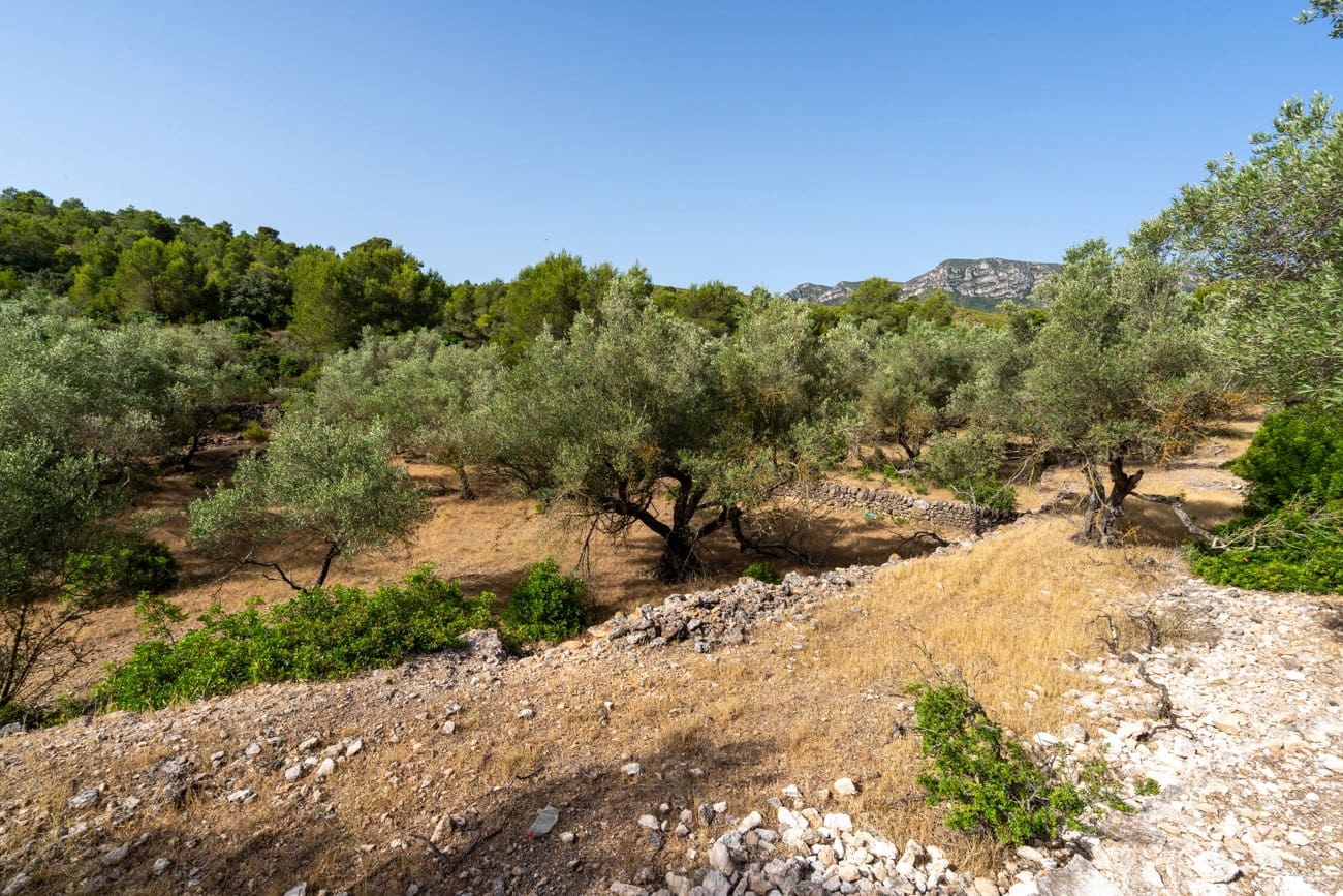 Finca/Country House for sale in Rasquera - € 24,000 (Ref: 9922733)