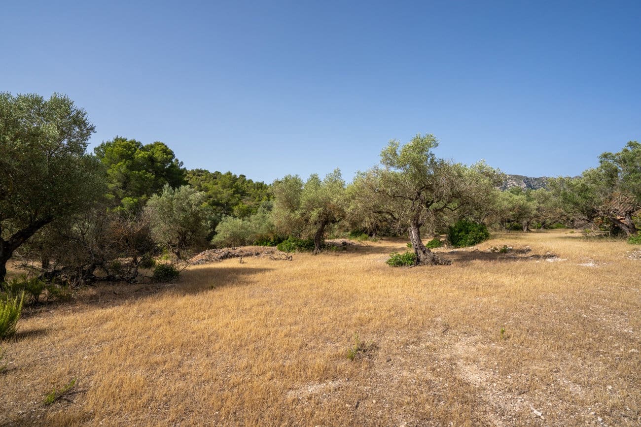 Finca/Country House for sale in Rasquera - € 24,000 (Ref: 9922733)