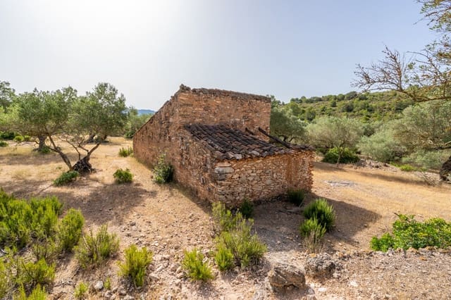 Finca/Herregård til salgs i Rasquera - € 24 000 (Ref: 9922733)