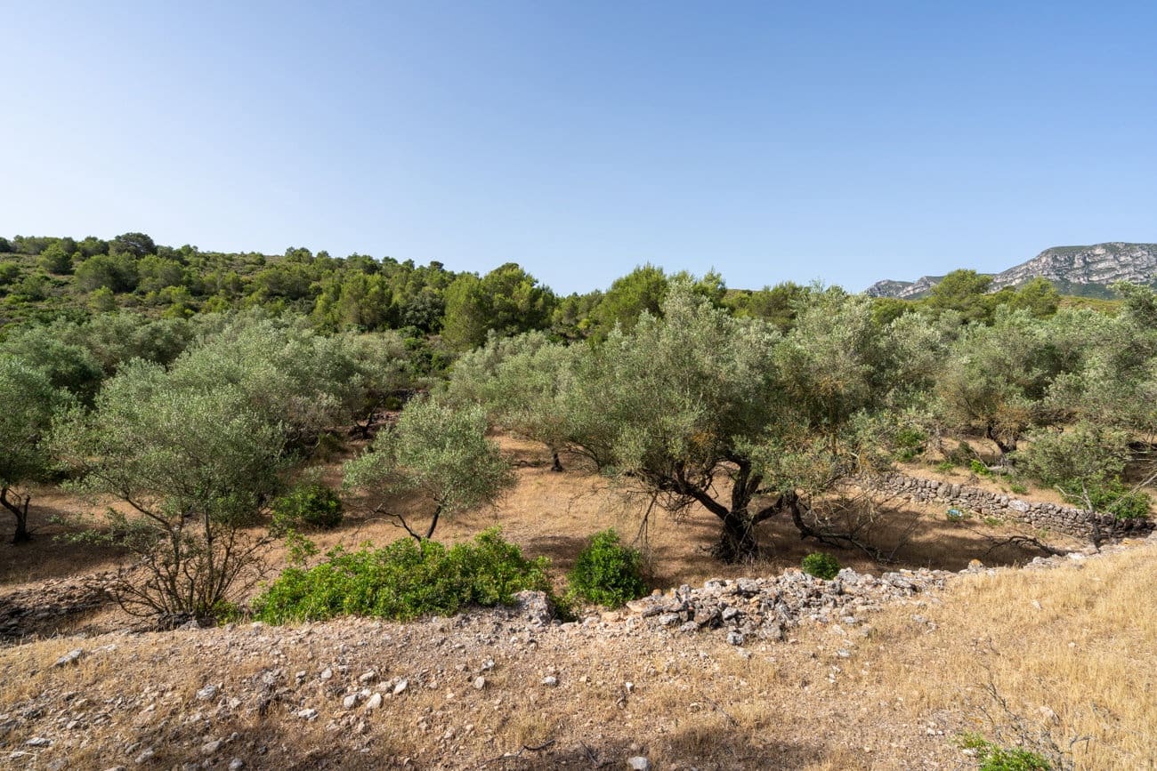 Finca/Country House for sale in Rasquera - € 24,000 (Ref: 9922733)