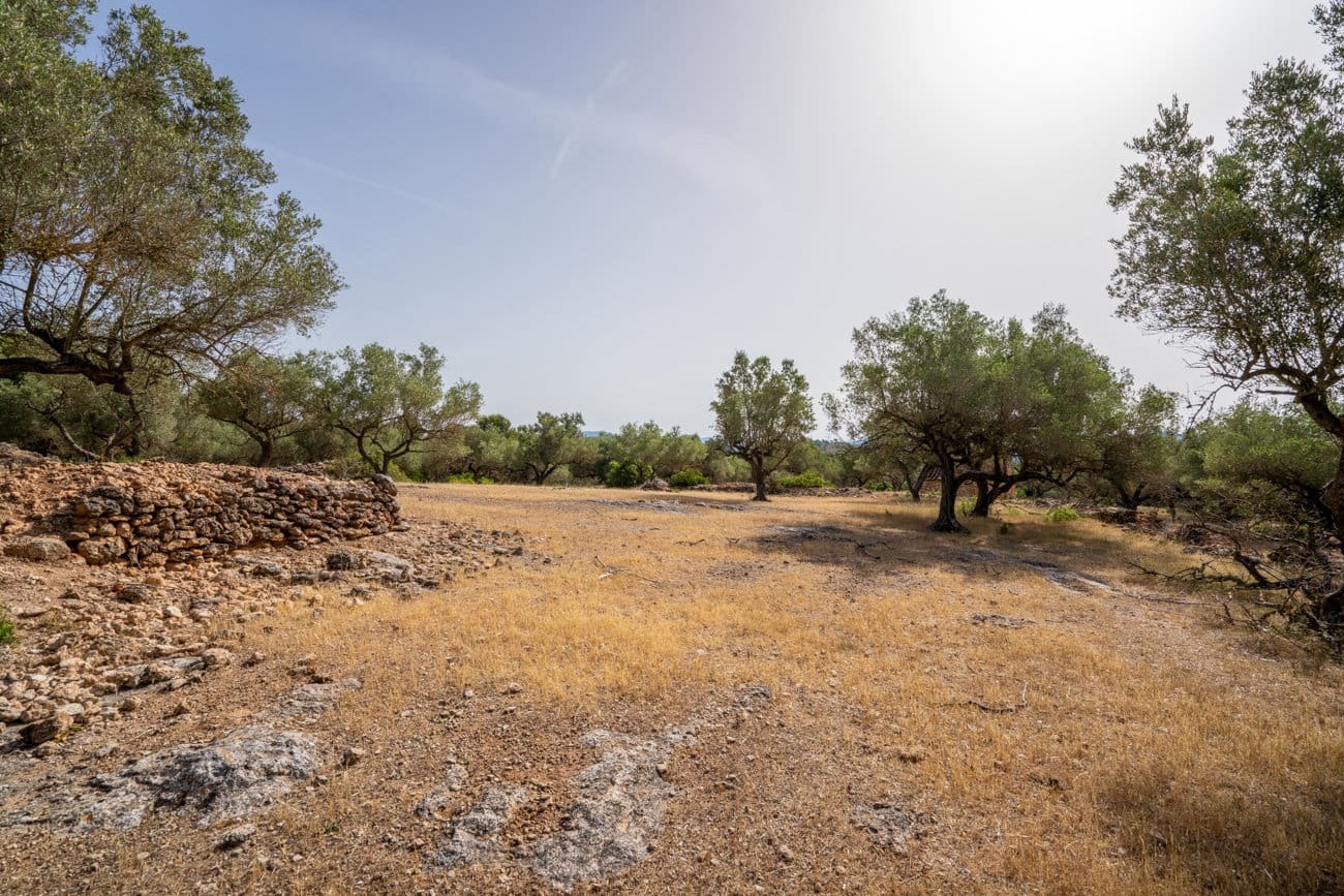 Finca/Country House for sale in Rasquera - € 24,000 (Ref: 9922733)