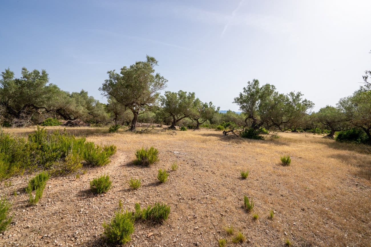 Finca/Country House for sale in Rasquera - € 24,000 (Ref: 9922733)