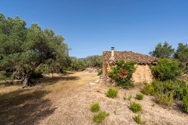 Finca/Herregård til salgs i Rasquera - € 24 000 (Ref: 9922733)