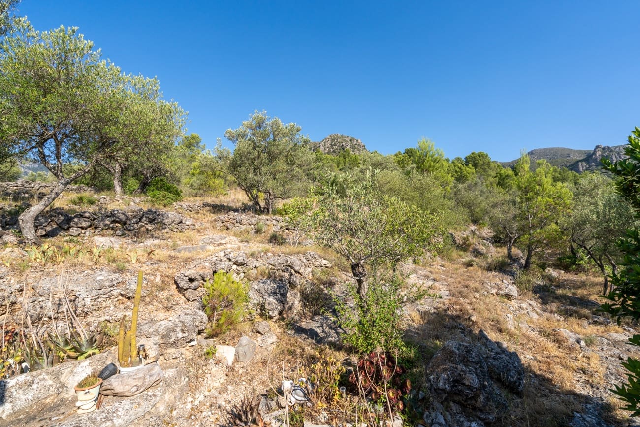 3 bedroom Finca/Country House for sale in Roquetes - € 98,000 (Ref: 9946054)