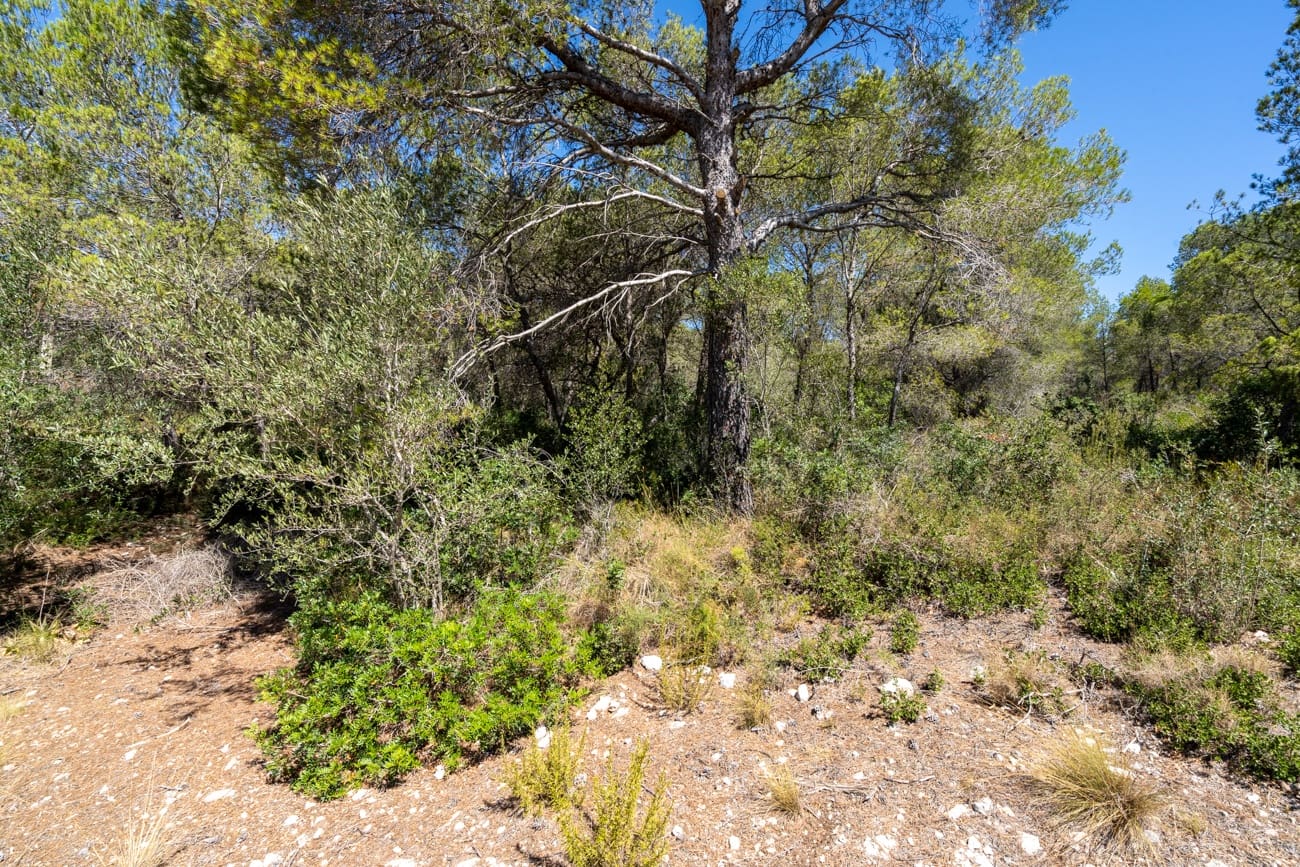 Finca/Hus på landet till salu i L'Ametlla de Mar - 34 000 € (Ref: 9948323)