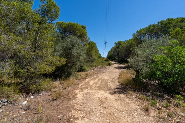 Finca/Casa di Campagna in vendita in L'Ametlla de Mar - 34.000 € (Rif: 9948323)