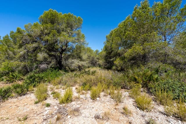 Finca/Casa di Campagna in vendita in L'Ametlla de Mar - 34.000 € (Rif: 9948323)