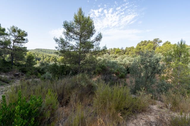Finca/Maison de Campagne à vendre à Caseres - 30 000 € (Ref: 9964552)