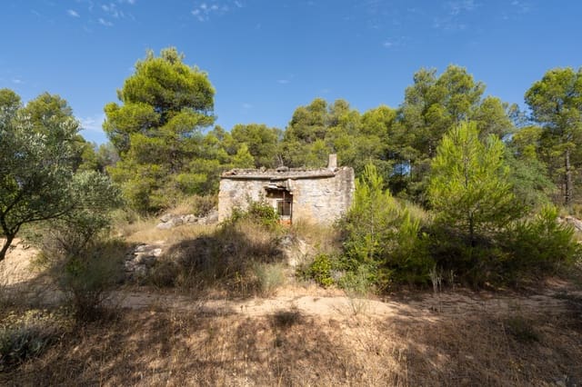 Finca/Maison de Campagne à vendre à Caseres - 30 000 € (Ref: 9964552)
