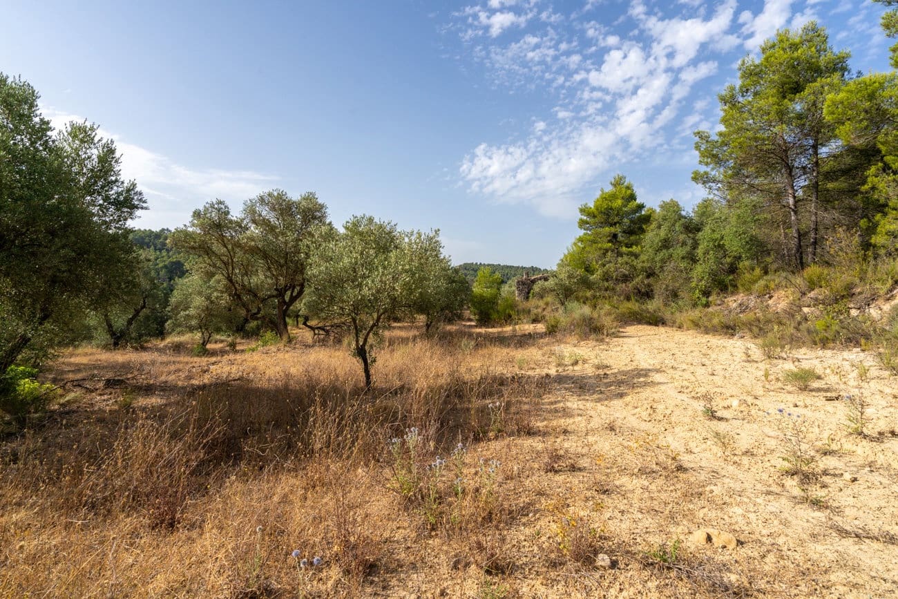 Finca/Country House for sale in Caseres - € 30,000 (Ref: 9964552)