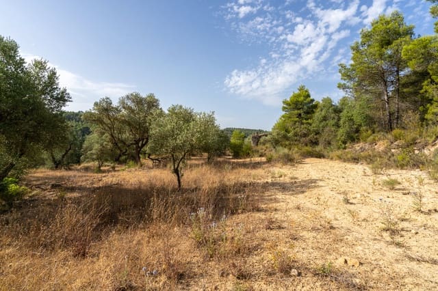 Finca/Herregård til salgs i Caseres - € 30 000 (Ref: 9964552)