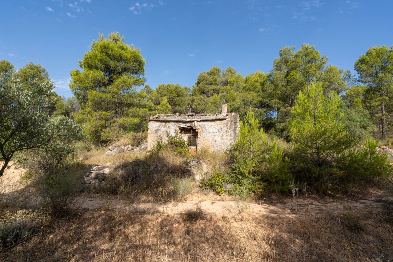Finca/Country House for sale in Caseres - € 30,000 (Ref: 9964552)