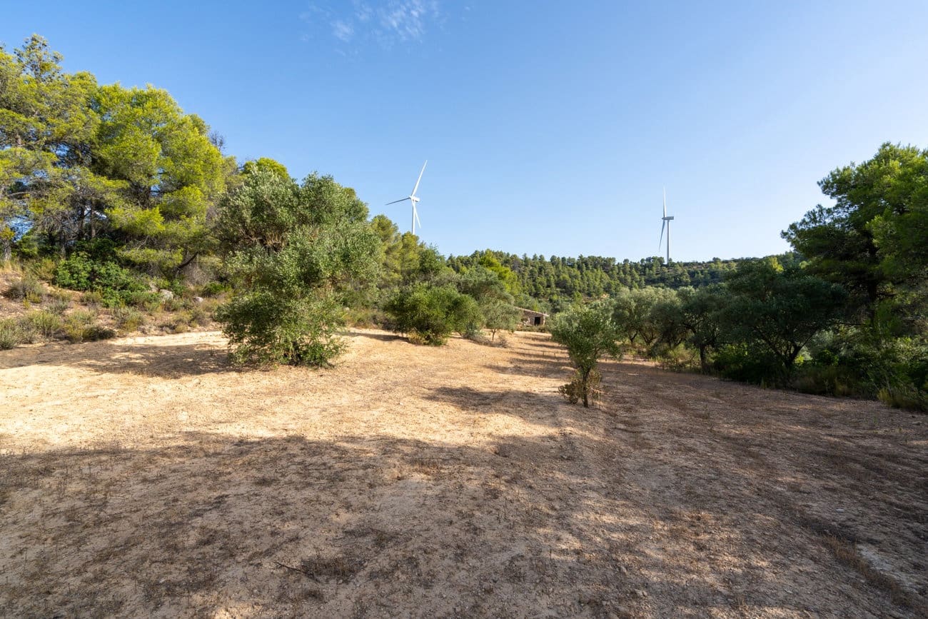 Finca/Country House for sale in Caseres - € 30,000 (Ref: 9964552)