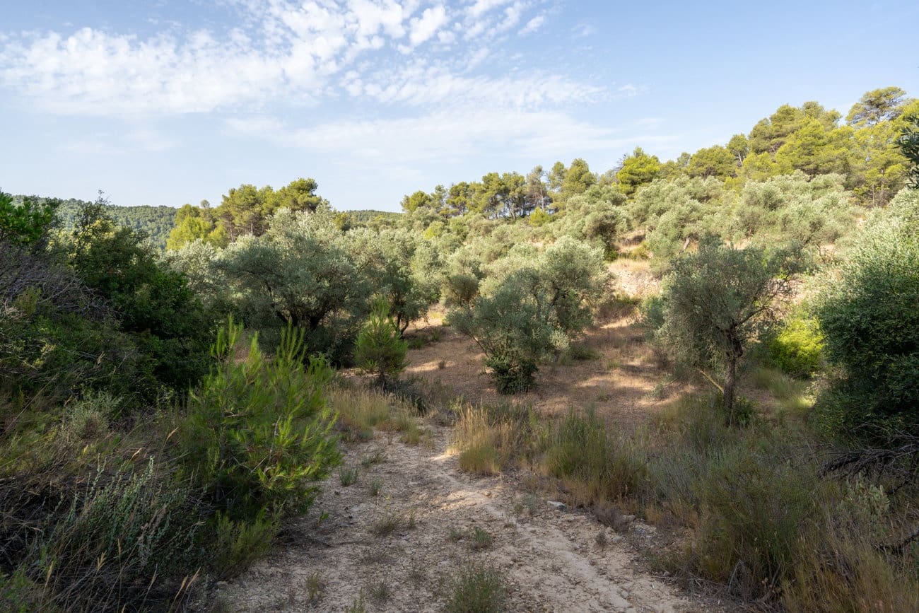 Finca/Country House for sale in Caseres - € 30,000 (Ref: 9964552)
